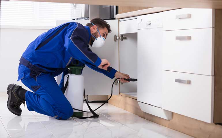 Residential Pest Control Services
